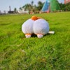 CorgiPP