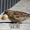 QwQ_2266