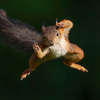 David_CytoM