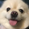 王彦承