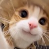 贰拾贰
