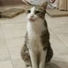 lindigheoooo