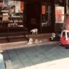 陈奕蓁