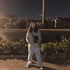 海豚文文