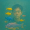 Dony Kuo