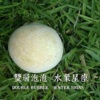双层泡泡