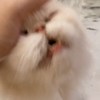 eee_bite