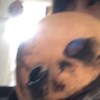 EEEEE