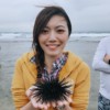 艾尔玛