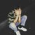 HYY