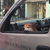 fan_0210