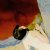 divine_mountain_dbp