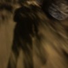 round_truth_wca