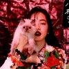 桐花落