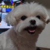 翰翰