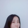 一只迷路的猫