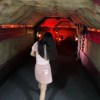 叶叶