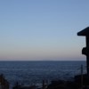 blue_cherry_ym3