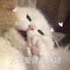 ʜᴜᴀɴɢ(•̀ᴗ•́)و