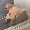 这就是一个昵称