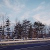 Am