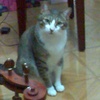 ITHY