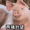 R均～～
