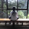 蘅皋暮