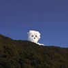 山丘