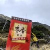 我大维啦