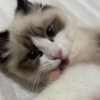 Jie_1027