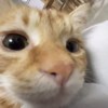 Jun
