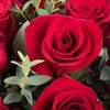 JupiterRose