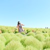 spring_butterfly_ay4