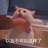 巧克力个球球