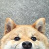 玥