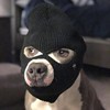 KendrickP