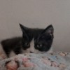 KEVN