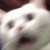lillil__4444_