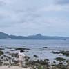 li仁