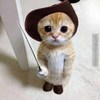 Zelda_Liok
