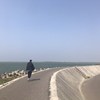 陈立