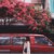 Linloveflower