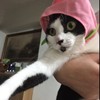 今夜不流泪