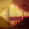 LIVIA*