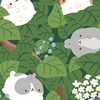 Lucky_pom