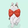 MISSandCAT