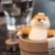 little_union_dhb
