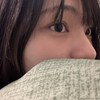 檬藻