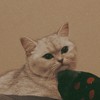 Sy